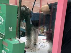 -FAELING PETS美天灵宠物(合生汇店)