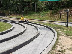 -圣淘沙天际线斜坡滑车