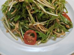 -鸭匠食府·挂炉烤鸭·新京菜(阜成路店)