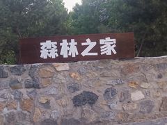 -老君堂公园