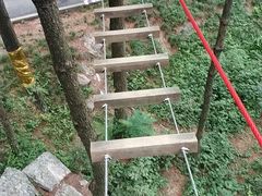 -梦幻奥陶纪景区