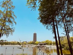 -葛仙湖公园