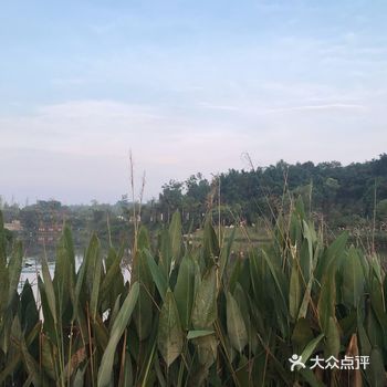 中港深海森林，虽然远离市区但是绿化真的很好