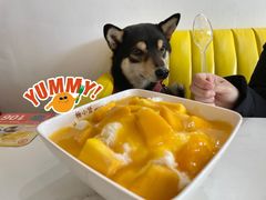 -杨小贤芒果绵绵冰(南门口店)