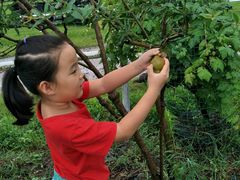 -北海市海滨公园