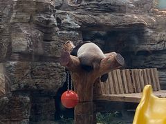 -石家庄市动物园