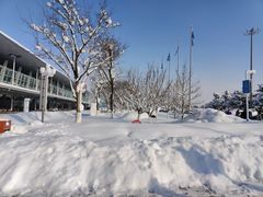 -锅老头海鲜铁锅炖