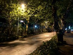 -CoCo都可(淞滨店)