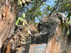 -抚仙湖禄充风景区