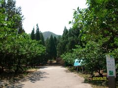 鹫峰&nbsp;(6)-北京鹫峰国家森林公园