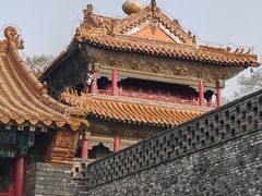 -北陵公园