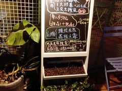 -有猫主题·治愈系猫咖(曾厝垵店)