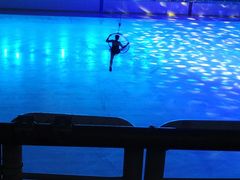 -松江大学城体育馆滑冰馆