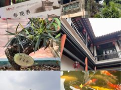 -东莞市可园博物馆