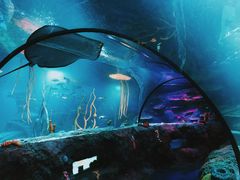 -沈阳海洋探索中心