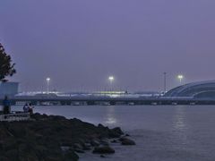 -上海吴淞炮台湾国家湿地公园