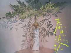 -穹六人间 people 6(岳阳路店)