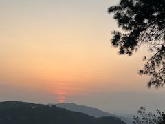 -铁山坪森林公园