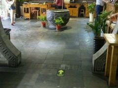 -福茂源横山铁锅羊肉(高新路店)