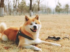 -瀛海足球主题公园