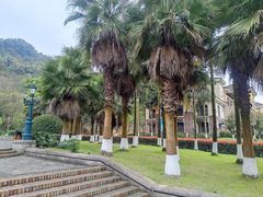-重庆南山海昌汤都