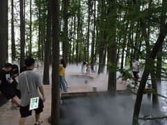 -东湖落雁景区