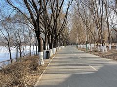 -长白岛森林公园