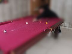 -克拉城堡网红轰趴馆·会场