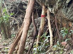 -七仙岭温泉国家森林公园