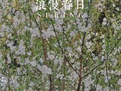 -乌山风景区