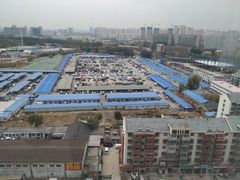 -何庄子阿米玛玛农产品批发市场