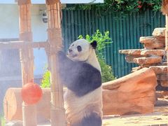 -青岛动物园