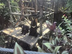 -长鹿旅游休博园