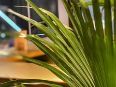 -LA MATCHA抹茶吧(进贤路店)