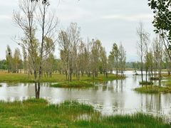 -野鸭湖国家湿地公园