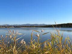 -野鸭湖国家湿地公园