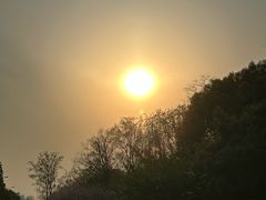 -蜀冈西峰生态公园