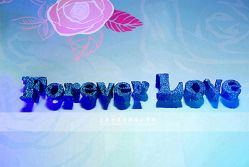 点击看大图 -上海浦东喜来登由由大酒店·宴会厅