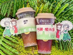 -炖物24章·顺时轻养茶(黄龙店)