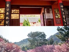 -石岛赤山风景区