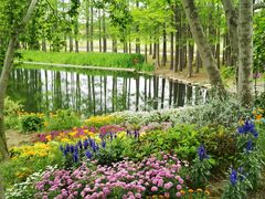 -上海共青森林公园