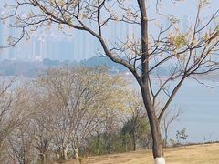 -盘龙城国家考古遗址公园