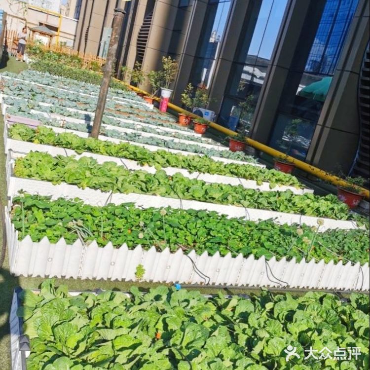 128元让宝宝体验采摘种植的趣味