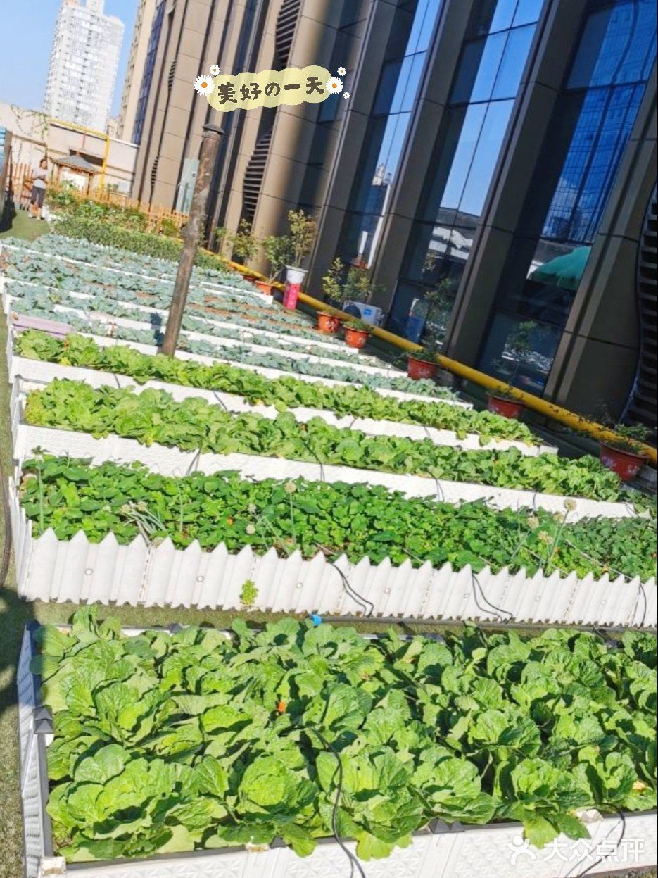 128元让宝宝体验采摘种植的趣味