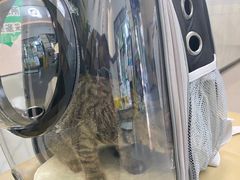 -半岛宠物医院24小时(科华中路店)