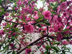 iphone_upload_pic-乌山风景区