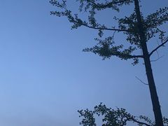 -宁波浙东大竹海景区