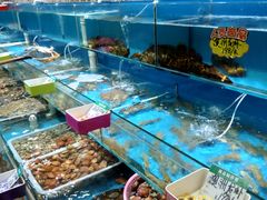 水产区-港畔赶海蒸汽海鲜烧烤自助(仙螺岛店)