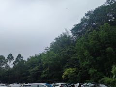 -黄埔油麻山森林公园