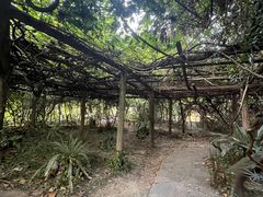 -广西壮族自治区药用植物园